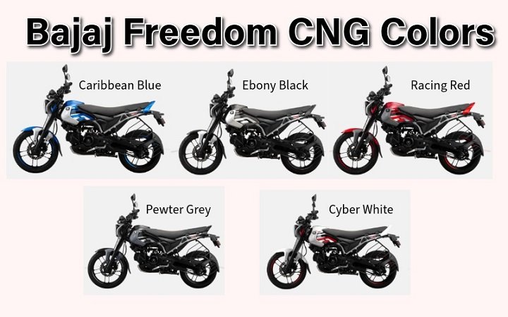 Bajaj Freedom CNG Colors