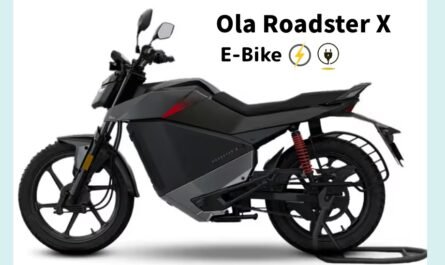 Ola Roadster X