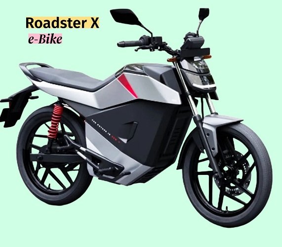 Electric Bike Roadster X 